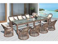 Attan Garden Table And Chairs 1+10 DR-3350T/C